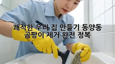 🏡 쾌적한 우리 집 만들기! 동양동 곰팡이 제거 완전 정복 🛡️