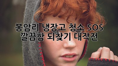 봉암리 냉장고 청소 SOS! ✨ 깔끔함 되찾기 대작전