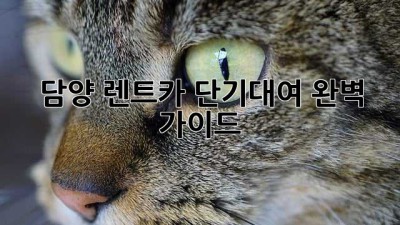 담양 렌트카 단기대여 완벽 가이드